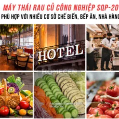 Máy thái rau củ QSP-20 11 Máy thái rau củ QSP-20 - Ảnh 6