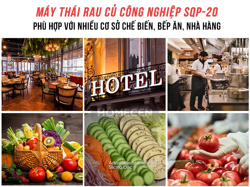 Máy thái rau củ QSP-20 6 Máy thái rau củ QSP-20 - Ảnh 6