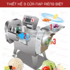 Máy thái rau củ quả công nghiệp YQC 803 - Ảnh 4