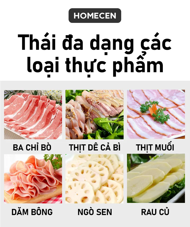 Máy thái thịt tự động SL300E 2 Máy thái thịt tự động SL300E - Ảnh 2